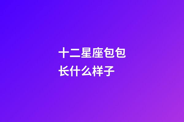 十二星座包包长什么样子