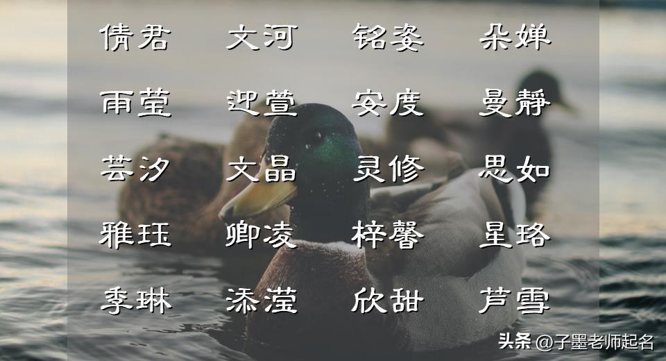 女孩名带木带水的意思的字_带水带木的内涵女孩名字_名字里带木带水的女孩名字