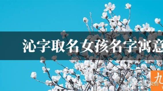 沁字取名寓意的女孩名字_沁取名寓意名字女孩字辈大全_沁字取名女孩名字寓意